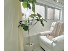ルーツ 巣鴨店(roots)の雰囲気(半個室のゆったり空間です◎《パリジェンヌ/眉毛/HBL/まゆげ》)