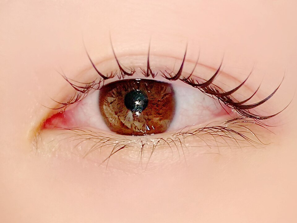 【人気No.1★上まつ毛パーマ★】プレミアムまつげパーマ2750円 | 京橋マツパ