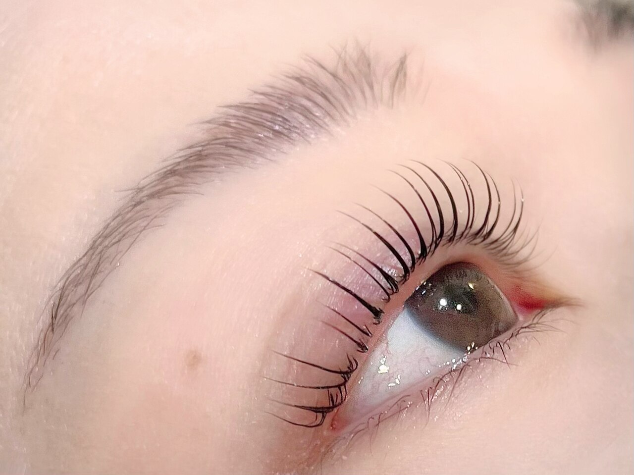 まつげ SHOBIDO 【選べる】 まつげ キープコート マスカラ 束感まつげ ジェル