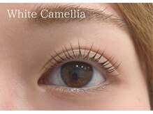 ホワイトカメリア(White Camellia)/まつ毛パーマ