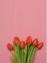 楽楽整体サロン&nbsp;ゆり 