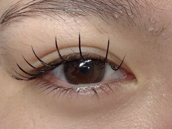 ローランリム(LORAN Lim)/LEDフラットラッシュ　120本