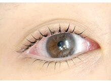 シエル 羽生店(Ciel)/ラッシュリフトカール上下