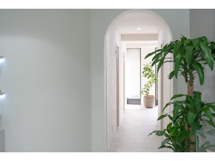 リベレスタ(liberesta)の写真