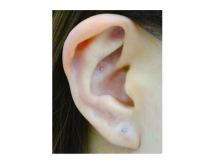 エヌプラス(N+Plus)の写真