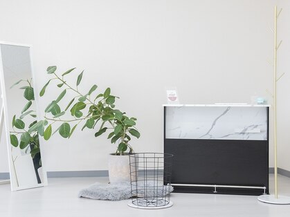 リノ(rino)の写真