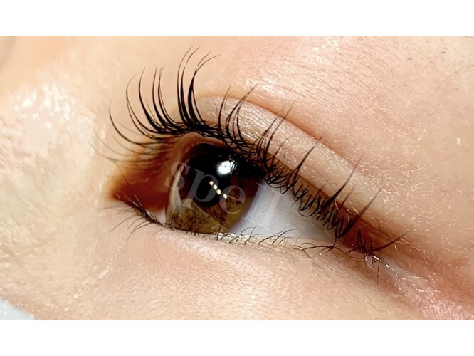 スペル(spell)｜ホットペッパービューティー 