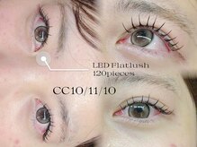 ソファー 八王子(sofa)/LEDフラットラッシュ120本