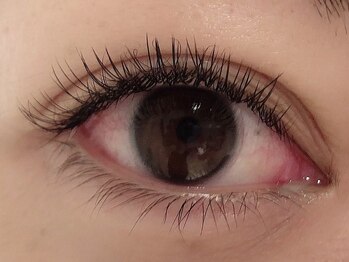 カラン 焼津店(CALIN)/フラットラッシュ100本