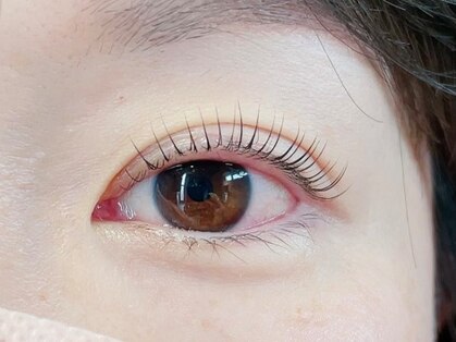 シェリ(Cherie)の写真