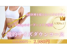 ヴェリティー(Verity)
