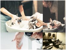 ラゾ(LAZO)/ヘッドスパ