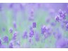 【オプション】ハーブ蒸しの追加ハーブ◆単品予約不可