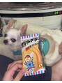 ティ-エヌ 元町店&nbsp;私の好きなお菓子とウチの犬です