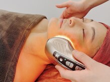 ブルーテーフ(Bleu Terre)