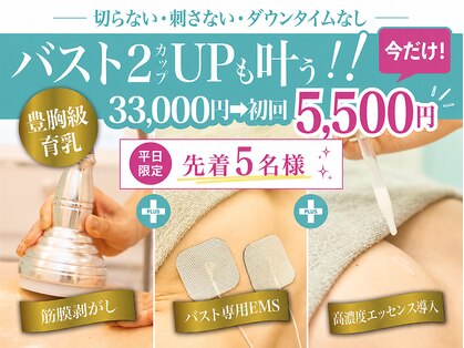 美人バスト 錦糸町店の写真