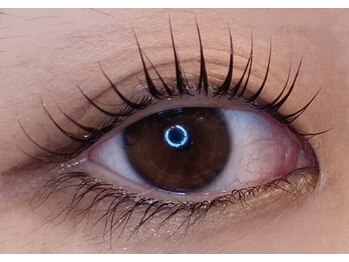 アイラッシュプラン メル 高槻JR駅前店(eyelash plan Mel)/韓国アイドル風まつ毛パーマ