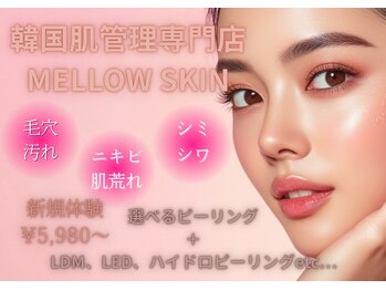 メロウスキン(MELLOW SKIN)/あなたも韓流美肌へ