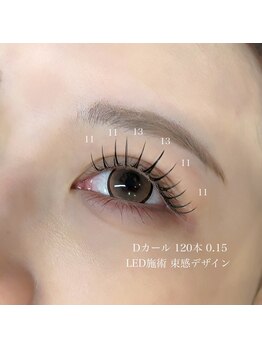 トータルビューティー(TOTAL BEAUTY)/フラットラッシュ 120本