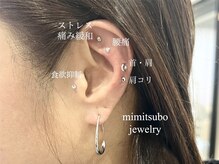 ファミーユプラス 伊勢崎(Fameu+)/耳ツボジュエリー