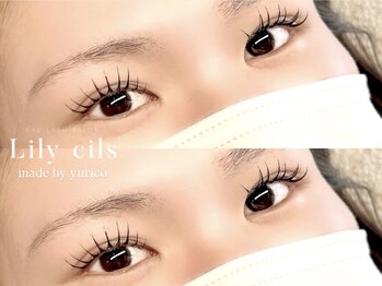 リリーシル(Lily cils)/パリエク（Wフラット120束）