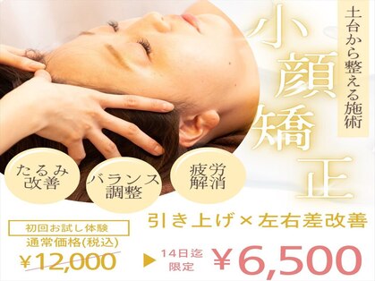 パピヨン(papillon)の写真