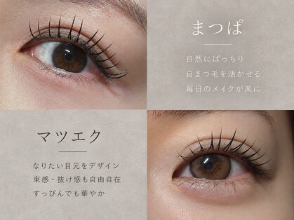 バーシャミ アイラッシュ(Baciami Eye Lash)の写真
