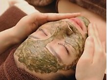 サロンステラ(SALON STELLA)