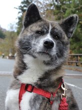 ソル(SOL.)&nbsp;eru chan