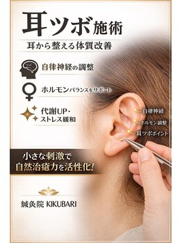 鍼灸院キクバリ(KIKUBARI)/耳ツボで整える体のバランス