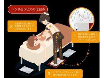 ダイエット アンド パーソナルトレーニングジム ウィル(WILL)/ハンドセラピスの仕組み