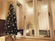 ランプリーブル(Lampe Libre)/時季によって変わるディスプレイ