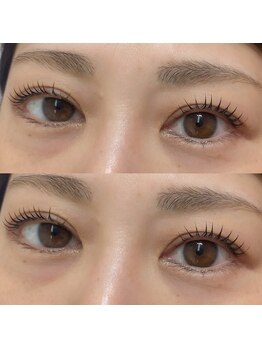 テアシア メメ(Teasia meme)/【高知】ラッシュリフト