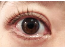 シャイニング ジェイ(Shining J)/カールが綺麗な美まつ毛