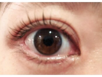 シャイニング ジェイ(Shining J)/カールが綺麗な美まつ毛