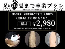 ジュゴン(Dugong)