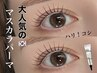 【韓国発】最新マスカラパーマ/まつげパーマorパリジェンヌ