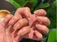 エルユーネイルズ(LUnails)の写真