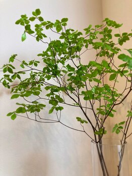 ソワン(soin)/サロン内観