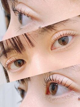 ビオ メゾン(BIO MAISON eyelash&eyebrow)/美まつ毛コース