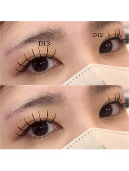 ダリア(DAHLIA)/フラットラッシュ120本