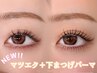 New！再来様限定フラットラッシュ120本＆下まつ毛パーマ ¥13,490→¥11,990