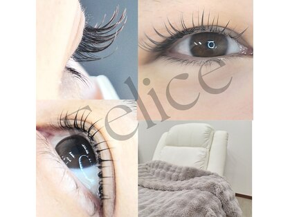 フェリーチェ(Felice)の写真