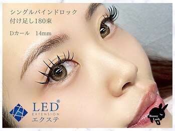 バニーラッシュ(Bunny Lash)/【バインドロック14mm】