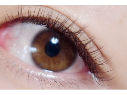 ミア(MIA)の写真