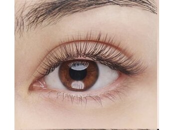 ビオス アイラッシュ 五反田(Bios eyelash)/最軽量フラットラッシュブラウン