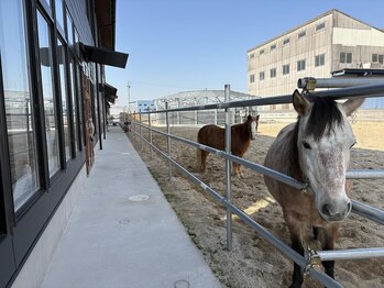 フローラ(FLORA)/お出迎え♪