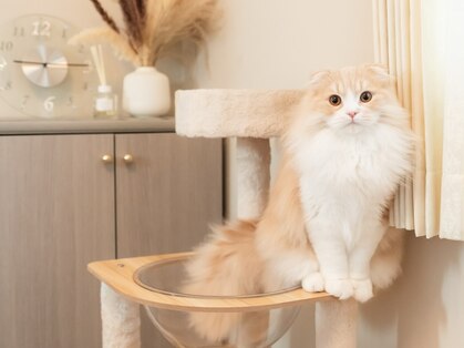 ネイルアンドスクール ベラ(Bella)の写真