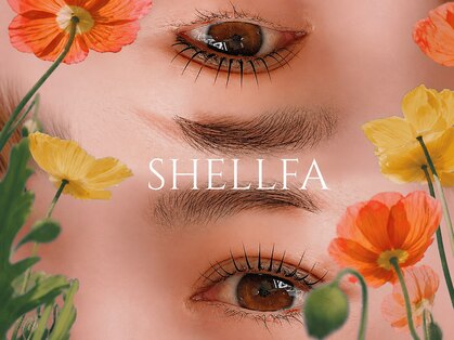 シェルファ(SHELLFA)の写真