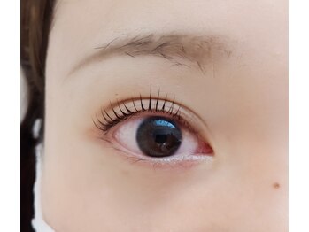 プラン アピ(plan api)/パリジェンヌラッシュリフト